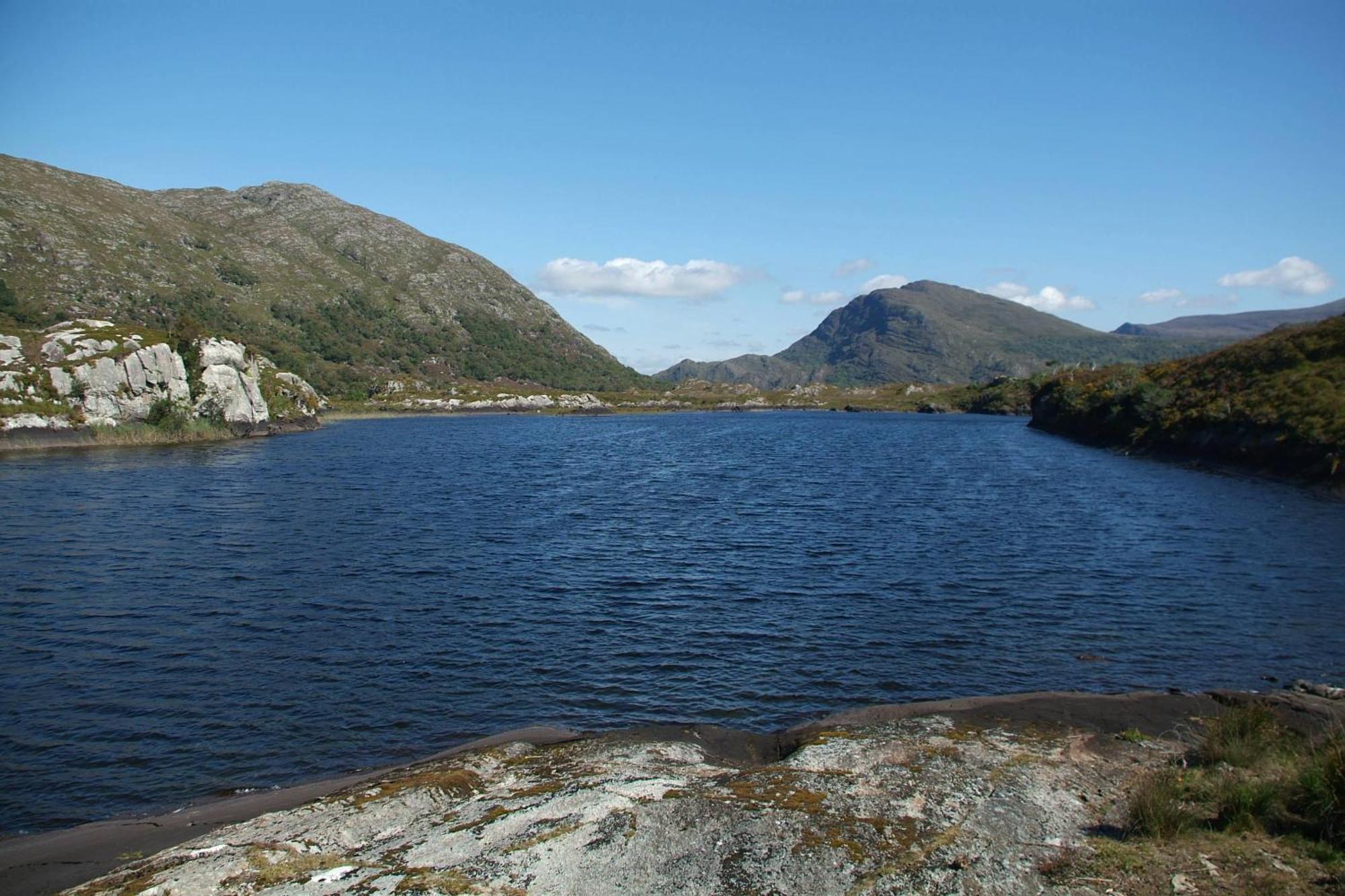 Woodlawn House Hotel Killarney Bagian luar foto